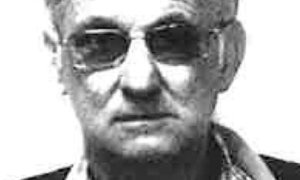 Belangrikheid van skeepsterme